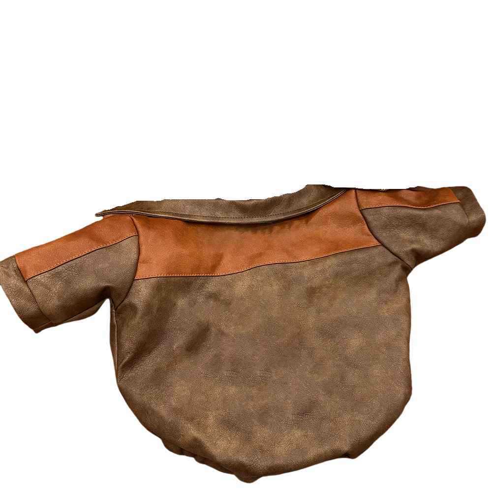 Les Schnauzers en Hiver et en Automne Ressemblent Plus à des Oursons en Peluche qu'à des Corgis ou des West Highland Terriers. Ils ressemblent à des manteaux en cuir à l'ancienne.