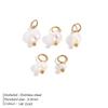 Five-Piece Baroque Freshwater Pearl Earring and Pendant DIY Jewelry Charms In Titanium Steel