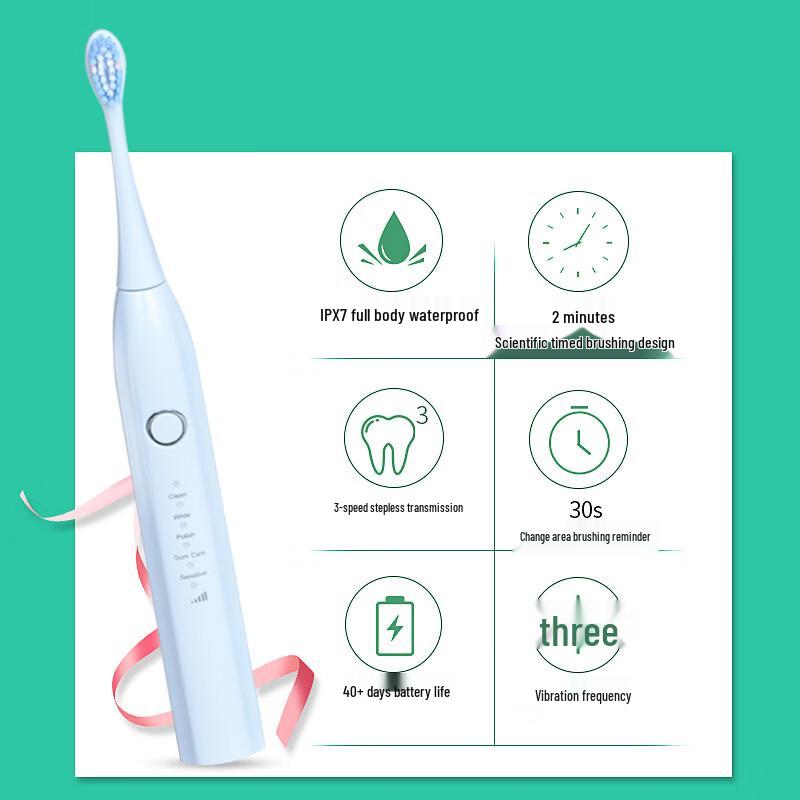SHZH-039 Rechargeable Sonic Electric Toothbrush CN plug (adapter included)