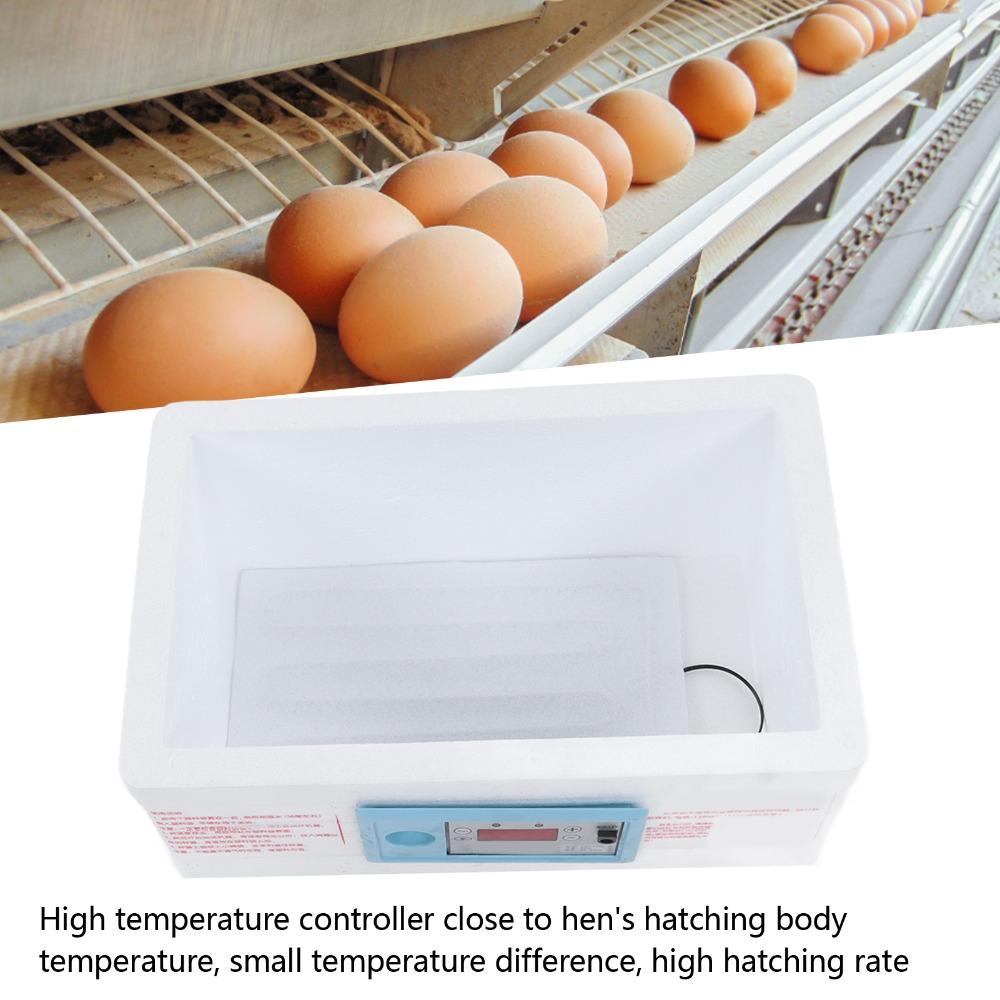 1 Set (7pcs) Small Chicken Incubator Foam Eggs Hatching Incubator  Hatching Chicken