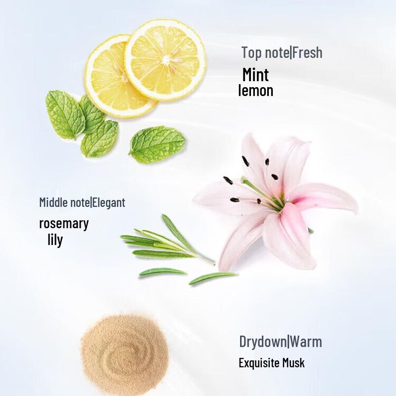 Dove Daily Nourishing Repair Shampoo Bundle