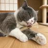 Catnip Toys Wooden Cleaning Teeth Silvervine Chew Stick Cat Wand Silvervine Sticks Cat Snacks Stick Chew Training Toy Pet