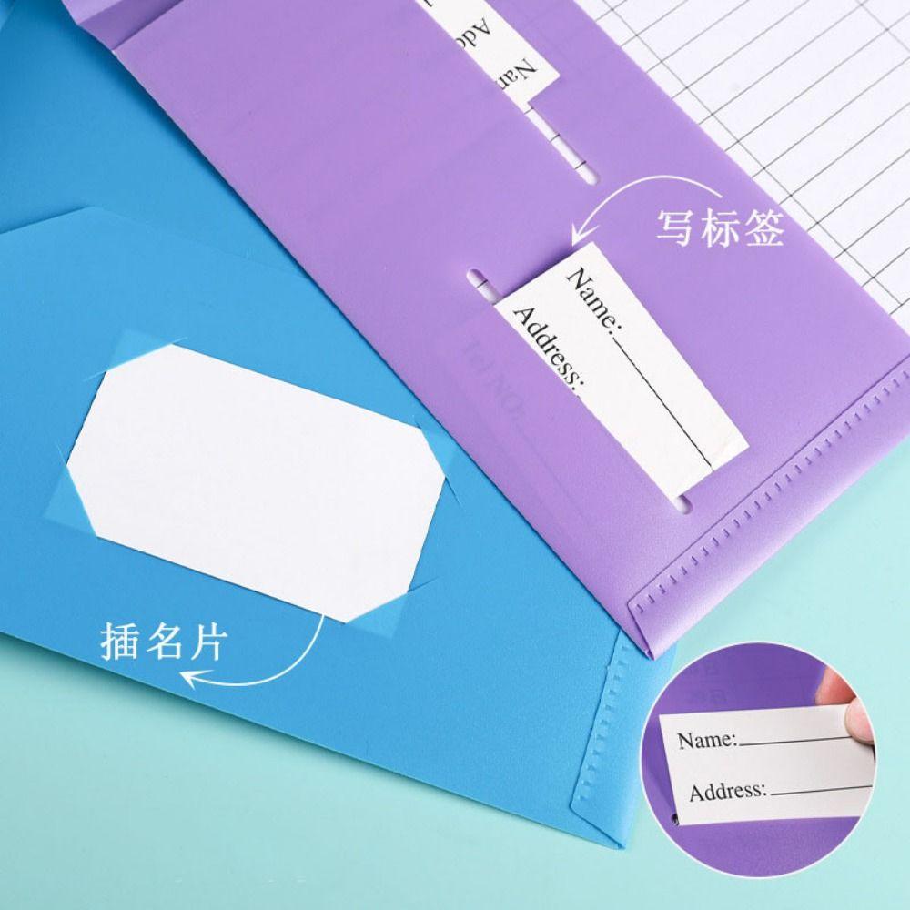 PP A4 File Folder Fashion Double Sided Pocket Folder Office Desk Organizer Folding Folders Unisex