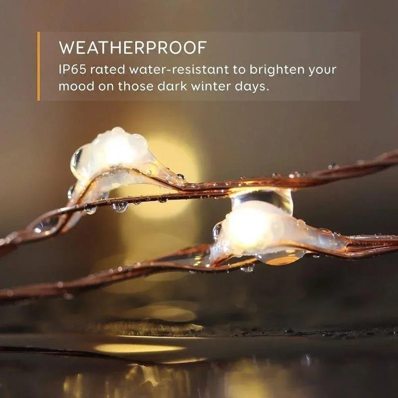 USB Powered Copper String Lights, Fairy Lights, and Starlight Lights Are Suitable for Decorating Parties, Weddings Festivals,Halloween,Christmas