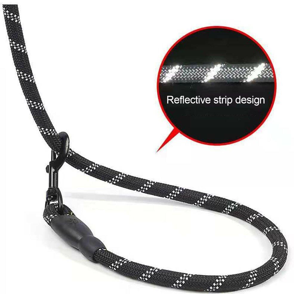 tough dog leash