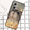 Hamster Guinea Pig For OPPO Reno 8 7 Lite 8T 10 11 12 13 14 Pro 11F 12F 13F 14F OPPO Find X9 X8 X5 X6 Pro Case