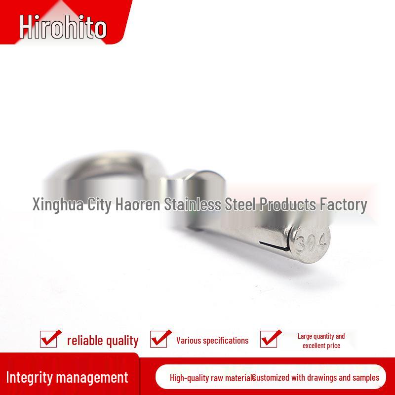 304 Stainless Steel Expansion Hook with Screw and Swing Hook