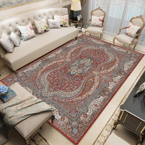 Modern Chinese Living Room Persian Carpet Simple Bedroom Decoration Area Rug Large Porch Door Mat Absorbent Non-slip Bath Mat