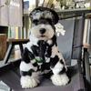 Bekleidung & Schuhe – Hundehoodies