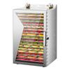 Compact Multifunctional Food Dehydrator for Fruits, Vegetables, Snacks, and Jerky