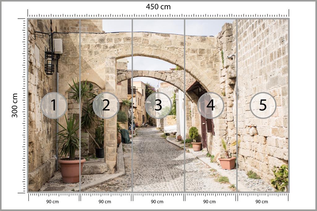 Photomural Greek Street Structural Vinyl 450x300