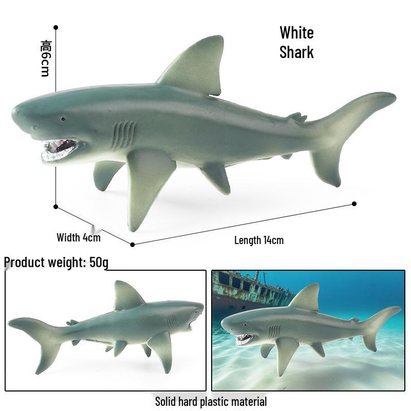 Children's Marine Animal Cognitive Model: Shark, Megalodon, Tiger Shark - Desktop Toy Ornament
