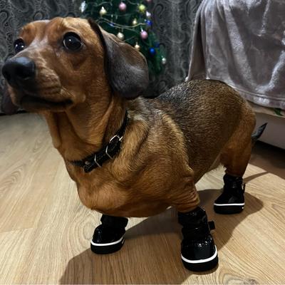 Teplé psí boty pro malé a střední psy, kočky, podzimní, zimní, turistické, voděodolné, pro štěňata, jednobarevné, měkké boty, buldok, teddy, čivava