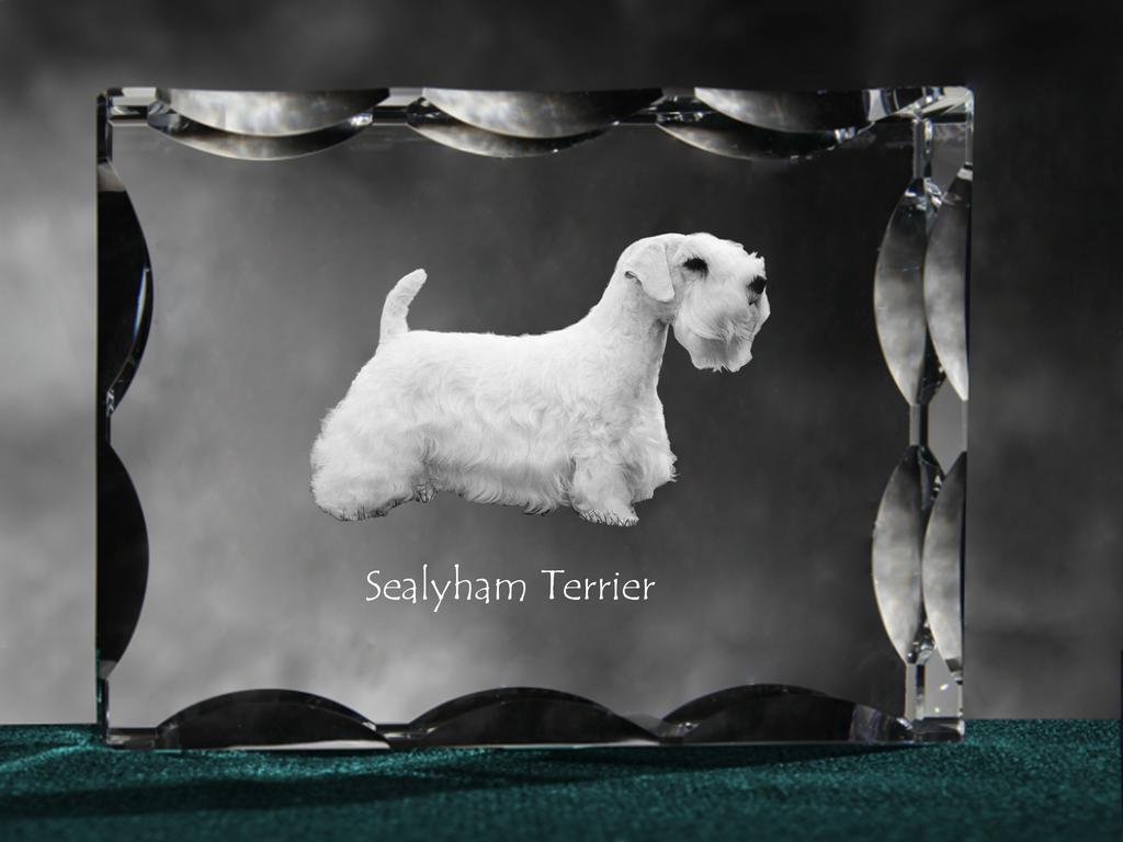 Sealyham Terrier, Cowley Terrier – Crystal with a picture of a dog, glass statuette with a picture | Art-Dog