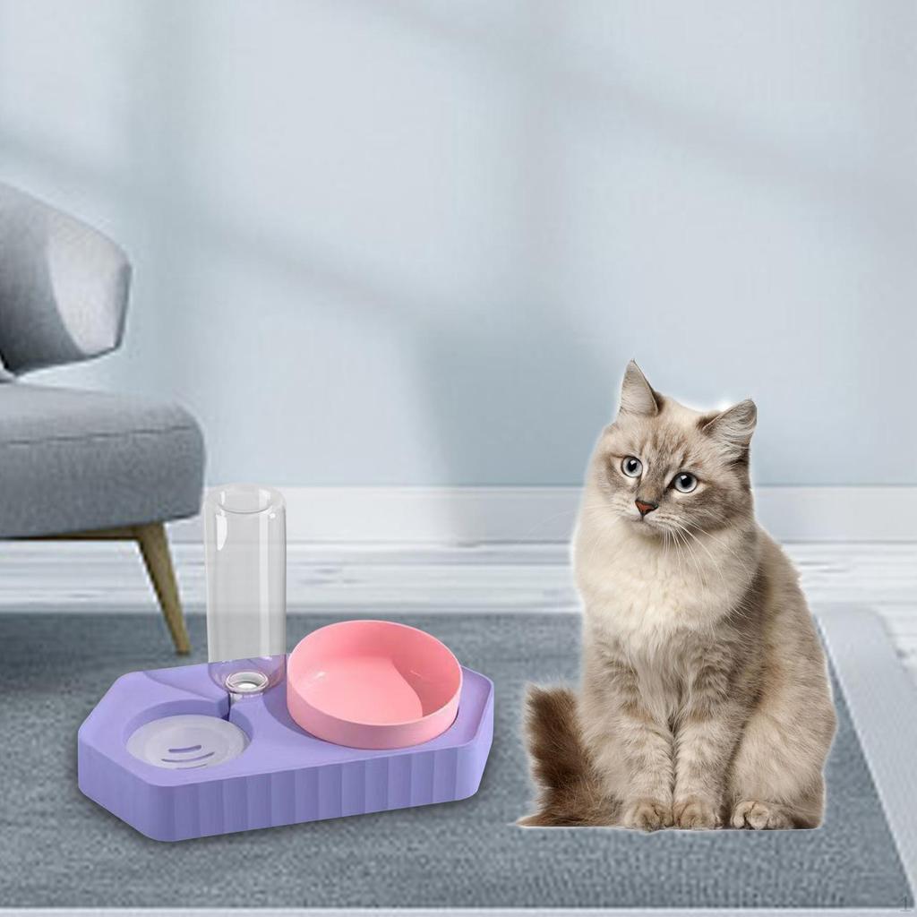 Dog Bowls Drink Fountain Cat Food Dishes Pet Feeding Station Detachable Non Slip Automatic
