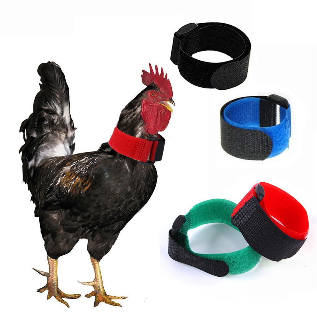 2PCS No Crow Rooster Collar Chicken Collar Noise Free Anti-Hook Neckband Collars Collar To Prevent Chickens from Crowing