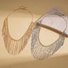 Heavy Industry Metal Wind Fringe Necklace Exaggerated Clavicle Chain Niche Necklace