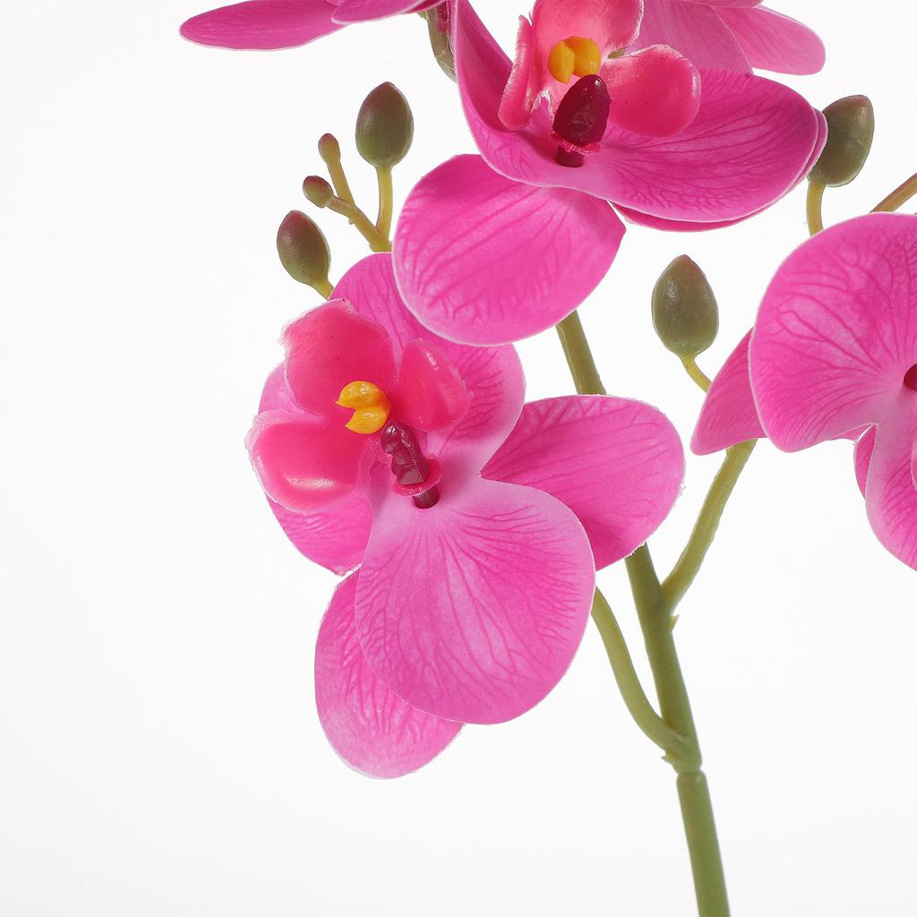 Premium Lifelike Artificial Phalaenopsis Orchid Potted Plant Decor for Living Room Office Kitchen Bedroom Study Desktop Home