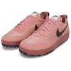 New Nike C1TY Canyon Rust FZ3863-600