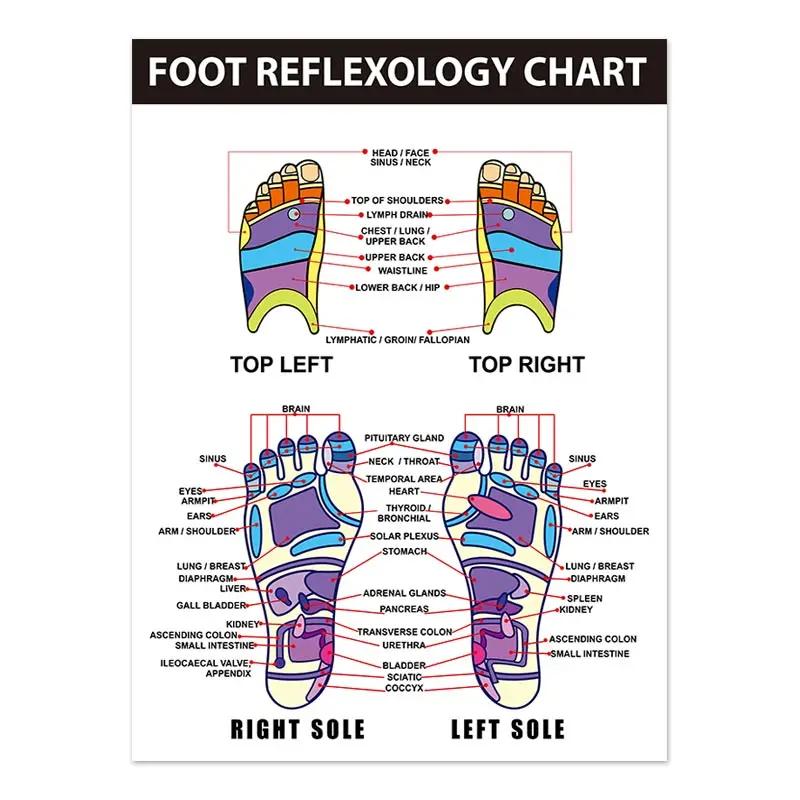 The Body Facial Anatomy Muscle Vessels Detailed Canvas Painting Human Structure Skeleton Education Poster Medical Decoracion