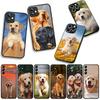 Phone Cover Cute Animal Golden Retriever Dog for Apple iPhone 17 16 11 Pro XS Max XR 6 7 8 Plus + 16E SE 2020 Air 5 8+ Case