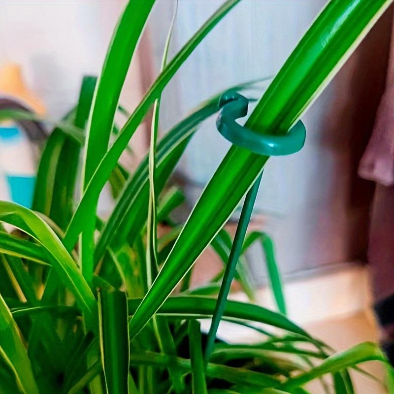 Pachet de 10 Tutori de Plante din Plastic și Fibră de Sticlă - Bastoane Verzi de Grădină pentru Orhidee, Plante de Interior la Ghiveci și Flori - Suporturi Durabile Rezistente la Îndoire