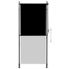 VidaXL Store roulant d'extérieur 100 x 270 cm Anthracite