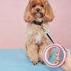 Retractable Dog Lead Heavy-Duty Extendable Dog Leads Strong Nylon Tape Leash One-Handed Brake Lock Tangle-Free Design for Small