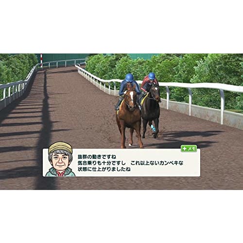 Derby Stallion -Switch