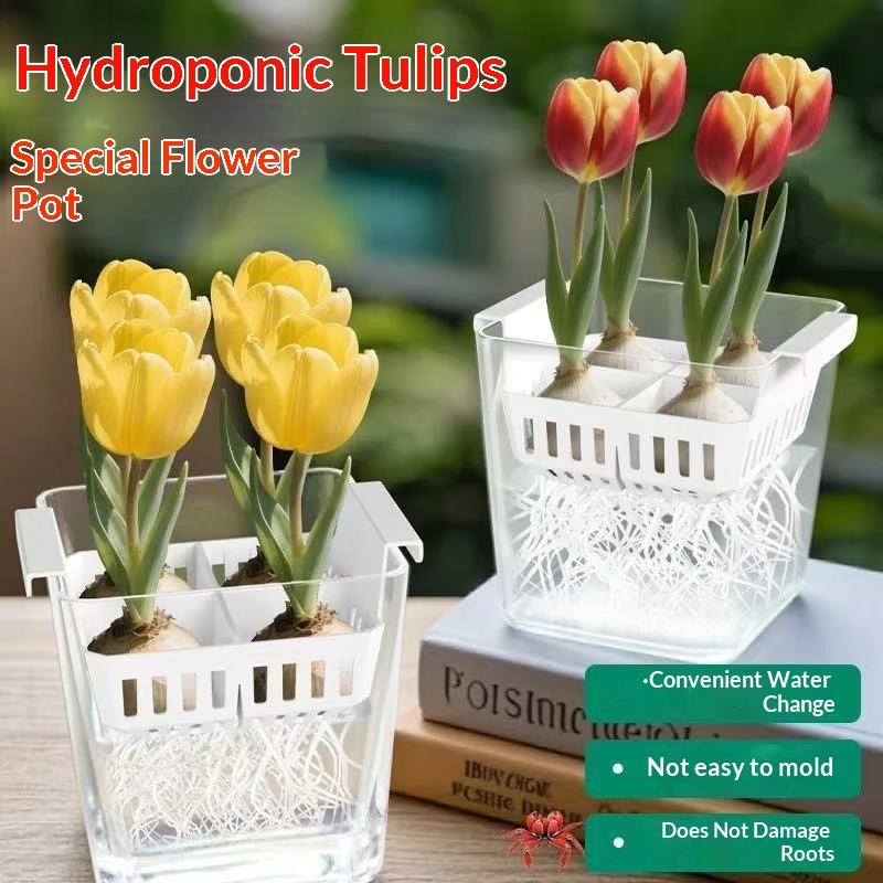 *Hot Sale Hydroponic Flowerpot with Breathable Baskets - 4 Holes Soilless Tulip Container for Home Decoration Plant Growing