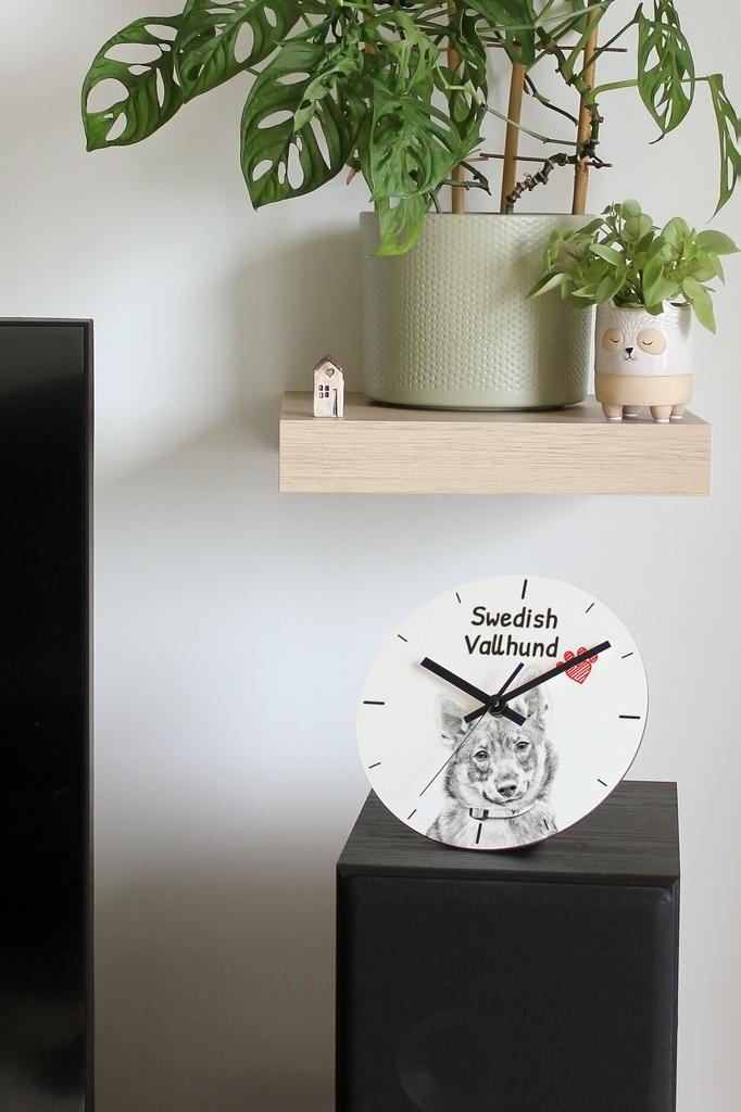 Swedish Vallhund, Swedish Cattle Dog – Wall clock with a dog, shelf clock with a print | Art-Dog
