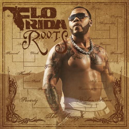 

CD FLO RIDA - R.O.O.T.S. WPCR13378 Japan Dance & Electronica Used
