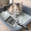 Cat Litter Cleaner with Extended Handle for Kittens