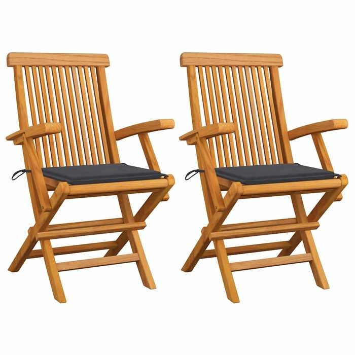 VidaXL Lot de 2 Chaises de Jardin avec Coussins, Sièges de Terrasse, Chaises de Salle à Manger, Meubles de Patio Extérieur, 3062487