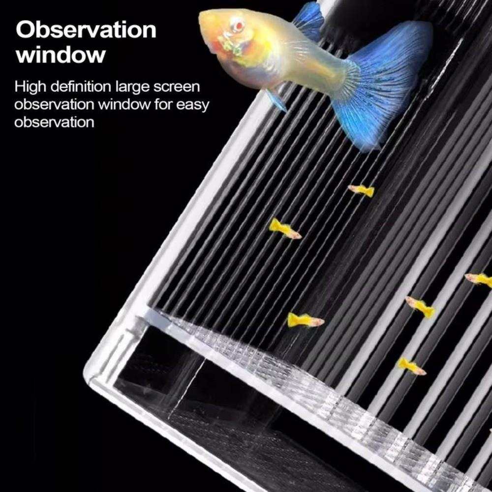 Permeable Floating Hatching Box Transparent Aquatic Life Hatchery Guppy Breeder Box  Fish Breeding