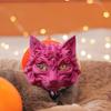 Fox Masque Plastic Fox Cat Animal Cosplay Half Face Masque for Halloween Masquerade Party Costume Accessory