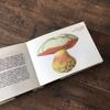 [USED] Foreign books, mushroom encyclopedia, Czech vintage books, junk journal