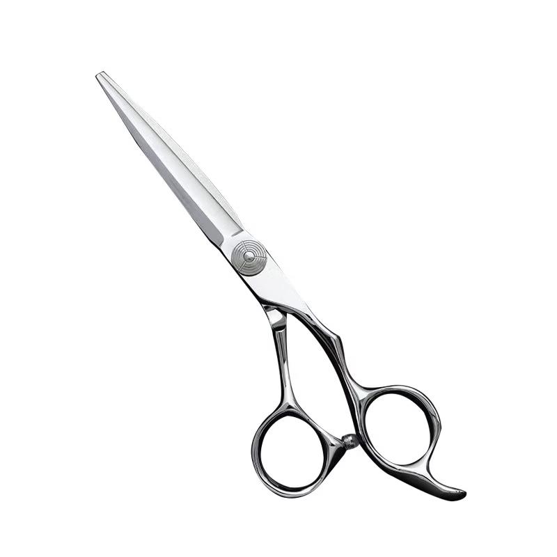 Beiyou Professional Hairdressing Scissors VG10 Steel