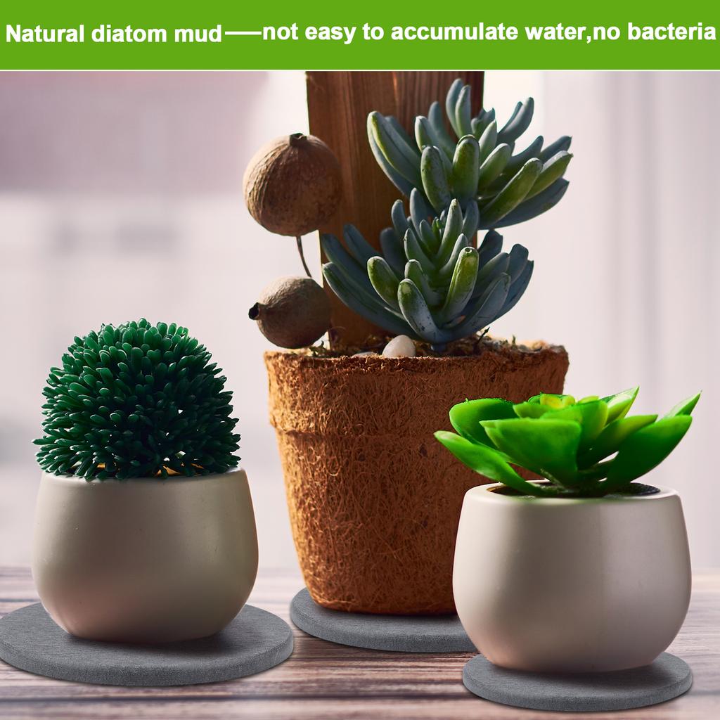 Diatomaceous Earth Coaster 4/6/8Inch Diatomite Plant Saucer Stone Plant Sourcer Instant Dry Water Absorbent Diatomite Tray (Dark