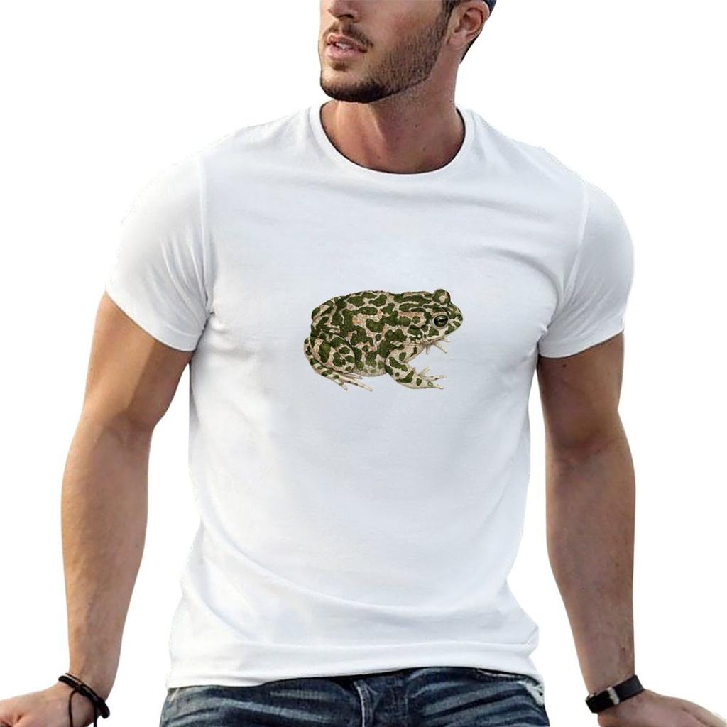 Green Toad Bufotes Viridis TShirt Funny T Shirts Cotton Essential T Shirt TShirt