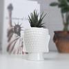 Ceramic Succulent Flower Pot White, Simple Desktop Creative Green Plant Buddha Flower Ornament White