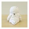 Flèche Solaire Potte Hibou des Neiges K8379