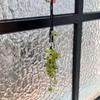 Green Grape Cluster Pendant Zinc Zinc Alloy Gradient Beads Woven Pendant Crystal Grape Phone Chain  Girls