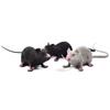 Funny Tricky Novelty Joke Mouse Toy Mock Fake Plastic Mouse Prank Scary Rat