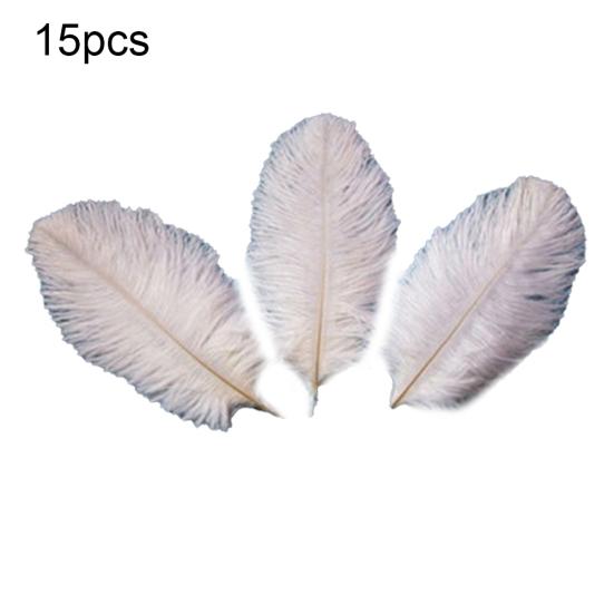 15 Pcs Natural Ostrich Feathers Colored Soft Feather for Clothes Wedding Decor