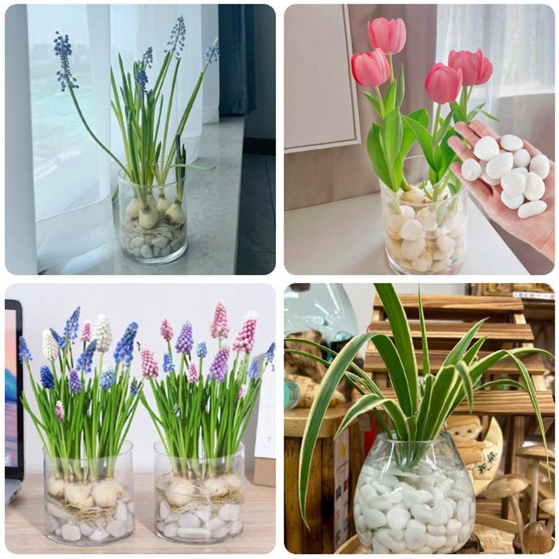 300g/800g 2-3cm White Pebbles, Natural High Polished Potted Fish Tank Decorative Stone, Garden Landscape Decoration Pebbles