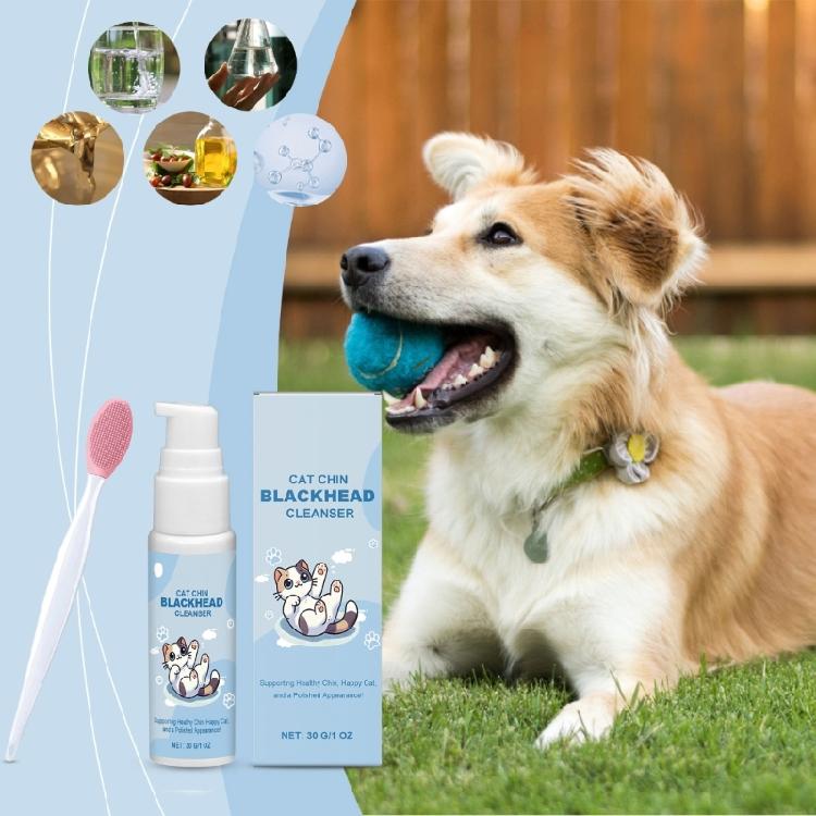 Pet Universals Toothpaste Tooth Set Pet Orals Health Pet Nighttimes Orals Care for Plaque Removal and Odor Control