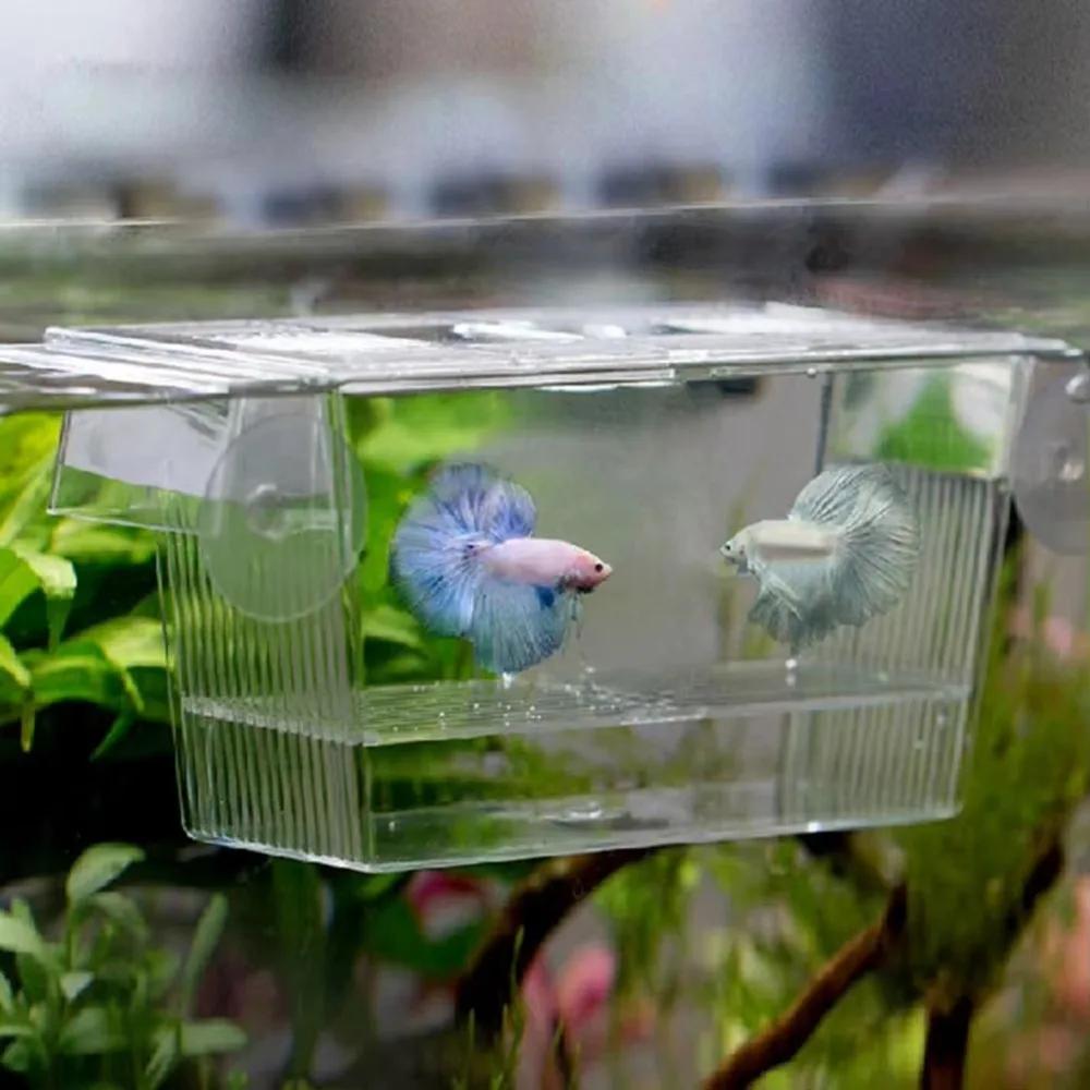 New Acrylic Fish Tank Breeding Incubator Grow Seedling Reproduction Holder Breeder Isolation Box Aquarium Fish Fry Aquarium
