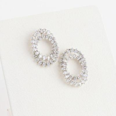Elegante Luxus-Kreis-Kristall-Ohrringe für Damen