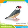 Mandarin Duck Bird Model Pvc Realistic Parrot Desktop Decor For Kids And Collectors